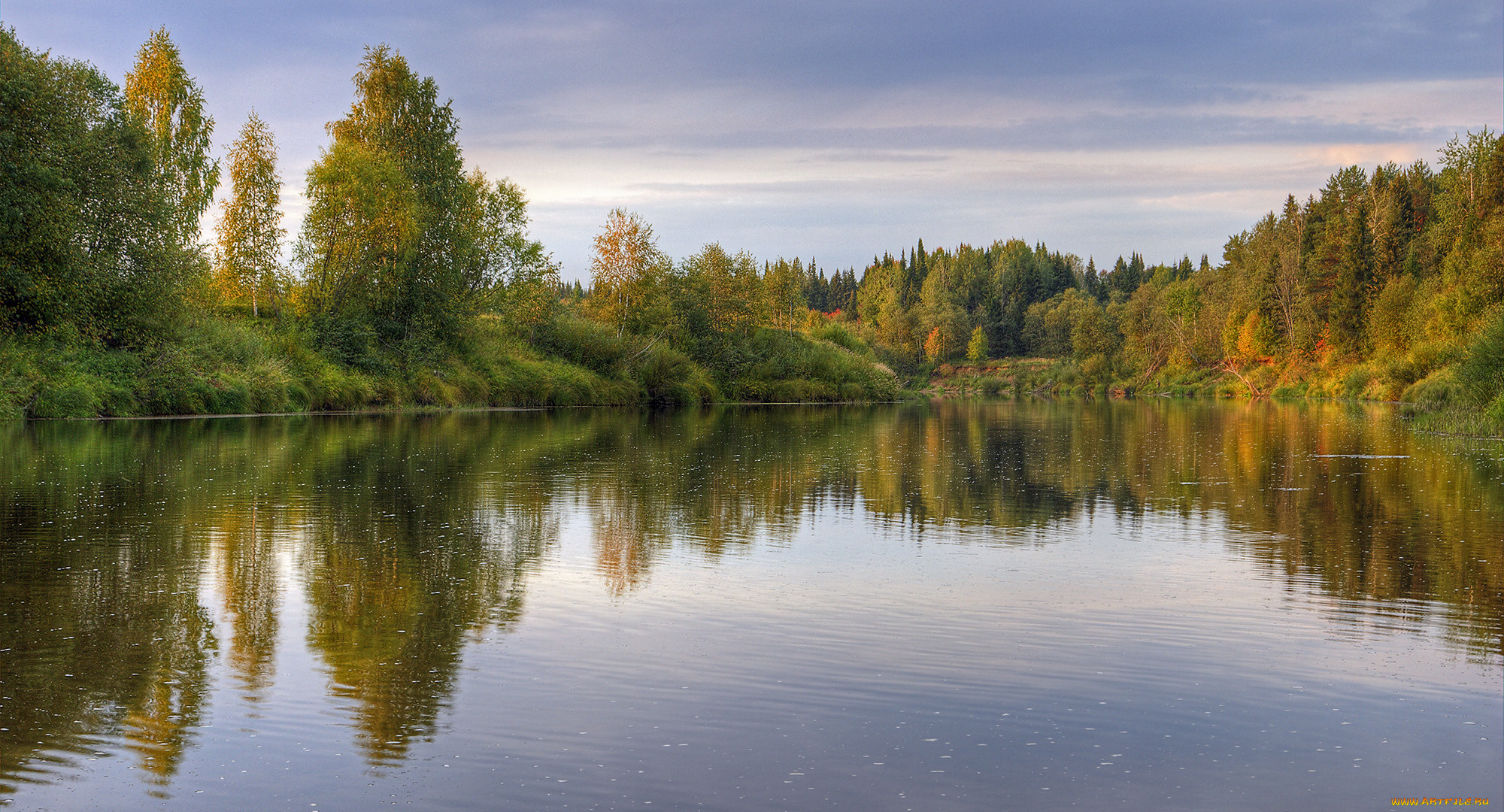 Реках озерах начинается. Речка в лесу. Лесное озеро. Природа лес озеро Россия. Речка и лес напротив.
